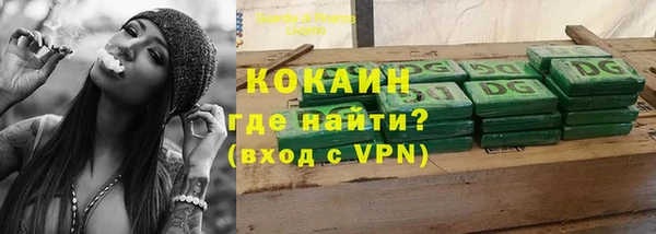 дмт Богородск