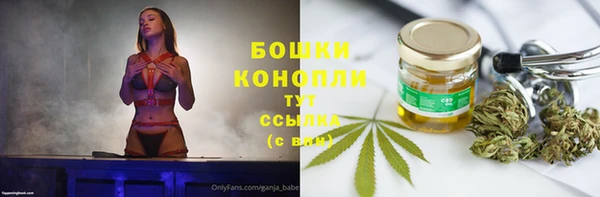 экстази Бородино