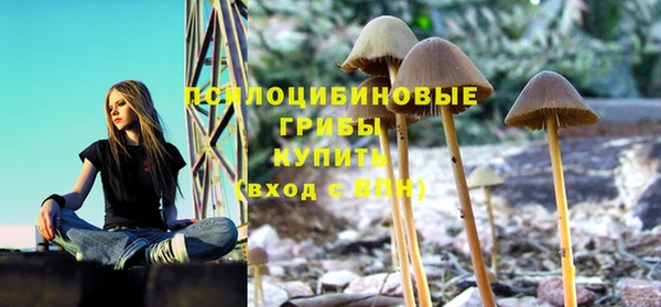 экстази Бородино