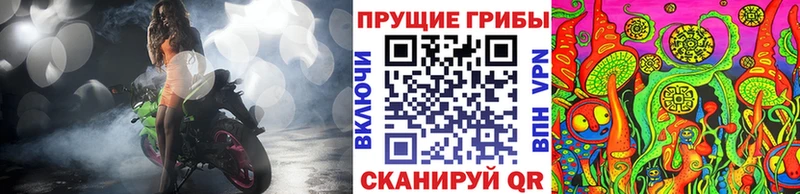 как найти закладки  Грязи  Галлюциногенные грибы MAGIC MUSHROOMS 
